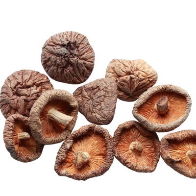 100g 250g 1kg 3kg Dry Shiitake Mushroom With BRC IFS ISO HACCP