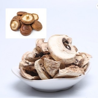 10x10mm Brown Japanese Dry Shiitake Mushroom Cultivation Bag Bulk