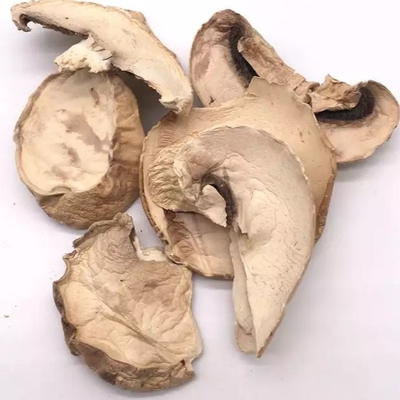 10x10mm Brown Japanese Dry Shiitake Mushroom Cultivation Bag Bulk