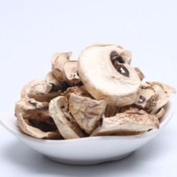 10x10mm Brown Japanese Dry Shiitake Mushroom Cultivation Bag Bulk