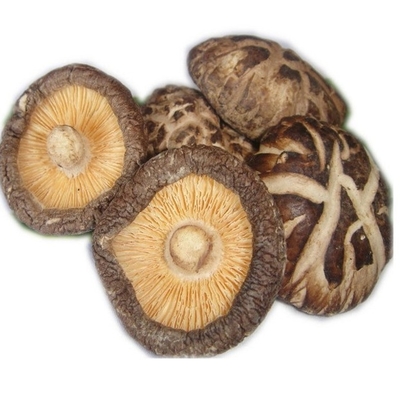 HACCP 1kg 3kg Dry Shiitake Mushroom Japanese With Good Taste